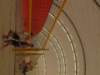 img_0828_small.jpg